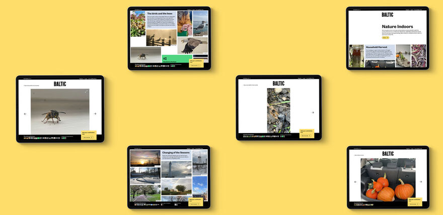 A yellow background with a series of screenshots of the Baltic website scattered on top of it