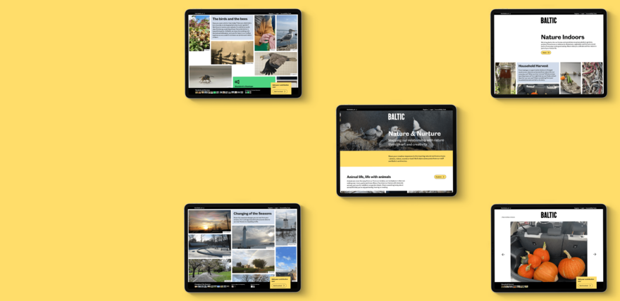 A yellow background with a series of screenshots of the Baltic website scattered on top of it