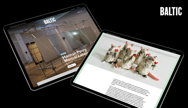 Baltic's website shown on two ipads on a black background. 