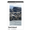 A phone shows a picture of